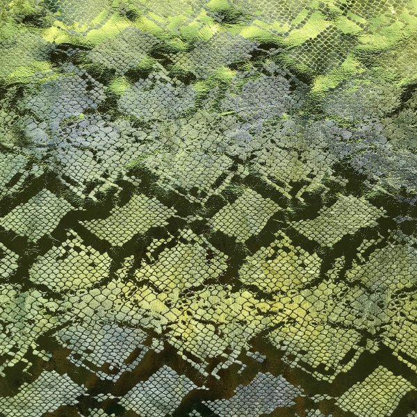 定制印花天鹅绒 欧式大马士革纹 窗帘卧室客厅 加厚遮光